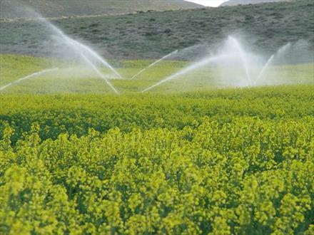 تجهیز بیش از 6 هزار هکتار از زمینهای ایرانشهر به طرح آبیاری تحت فشار