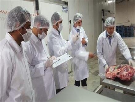 شهرستان سرباز خط مقدم پیشگیری از ورود بیماری ها به کشور/ مرز نقش بسیار مهمی در تولید گوشت کشور دارد
