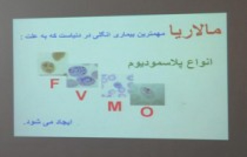 مهمترین چالش دانشگاه علوم پزشکی ایرانشهر شیوع بیماری های واگیردار در منطقه