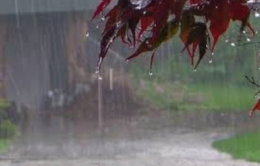 میزان بارش باران در بزمان و دلگان ۲۰میلی متر/مردم از اتراق در حاشیه رودخانه پرهیز کنند