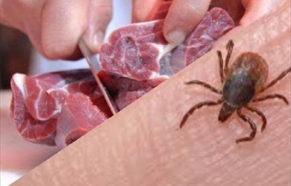 زنگ خطر ابتلا به تب کریمه کنگو با شروع فصل گرما/ فریز كردن گوشت، ویروس " cchf" را غیرفعال می‌كند