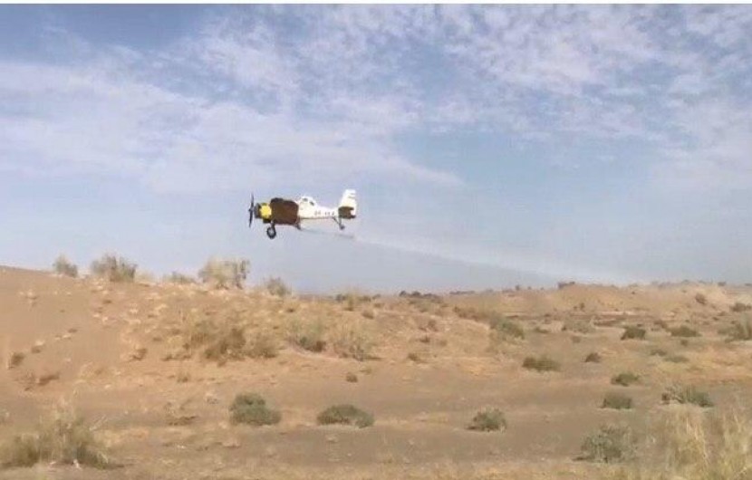 پرواز هواپیمای سمپاش برای نابودی ملخ صحرایی مهاجر در ایرانشهر