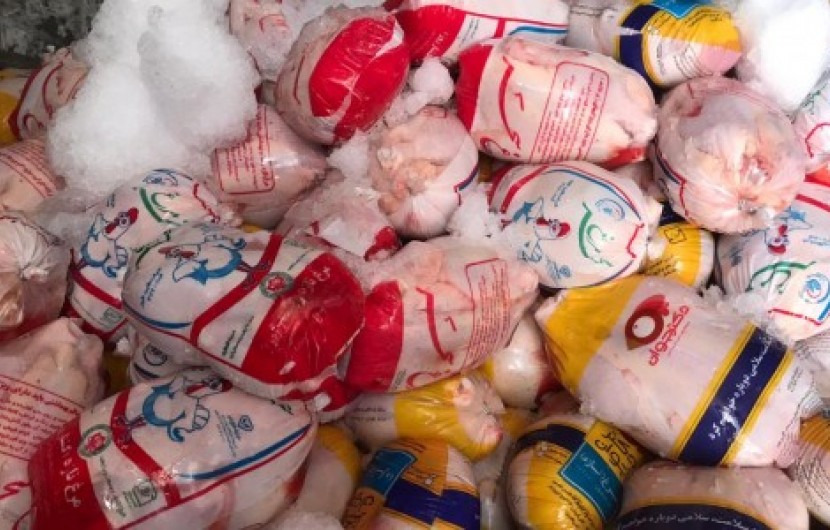 تداوم توزیع مرغ منجمد در سیستان وبلوچستان