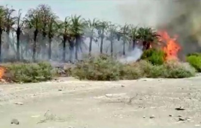 نخیلات" کور صابر" روستای هیچان طعمه آتش شد