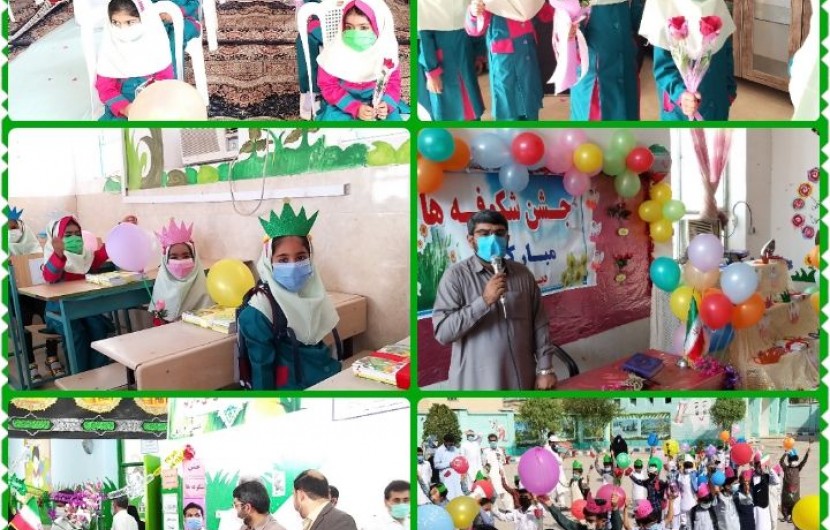 ۷هزار کلاس اولی در جشن شکوفه های مدارس ایرانشهر حضور یافتند