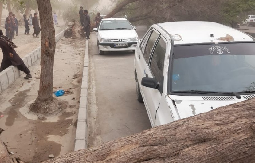 طوفان گرد و خاک با ۷۹ کیلومتر بر ساعت ایرانشهر را درنوردید/ شهروندان به هشدارهای مدیریت بحران توجه کنند