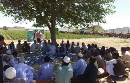 اجرای ۱۰ کاروان ترویجی بهره‌وری الگوی کشت در سیستان و بلوچستان