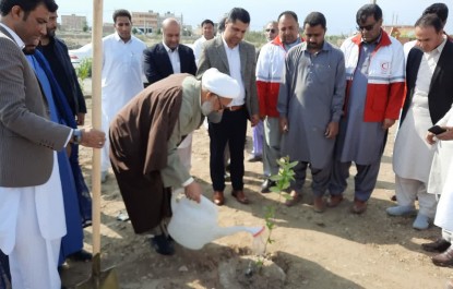 کاشت و توزیع ۲۰۰ اصله نهال در ایرانشهر